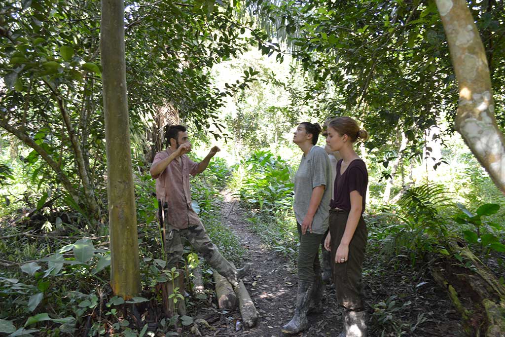 Amazon-Conservation-Project-Volunteer-Peru