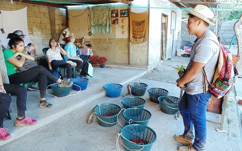 eco-agriculture-volunteer-abroad-GT1 University Courses for Enviromental Studies Majors