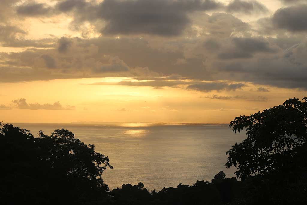 Manuel-Antonio-National-Park-Your-Guide-to-Hiking