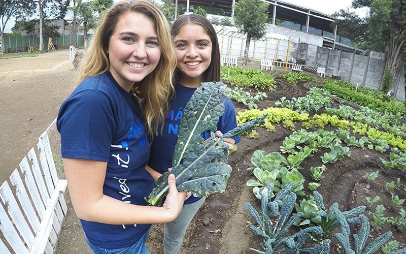 volunteer-abroad-eco-agriculture-permaculture-program-GT Volunteer in Sustainable Farms in Guatemala