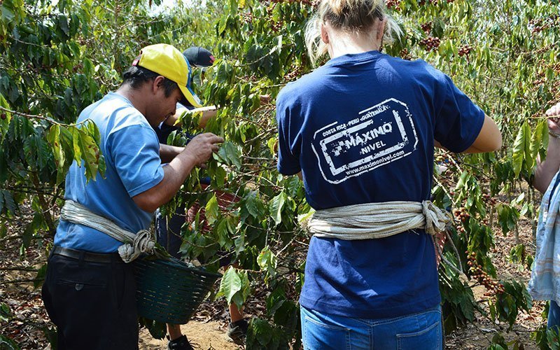 volunteer-abroad-eco-agriculture-program-CR Volunteer in Organic Coffee Farms in Costa Rica