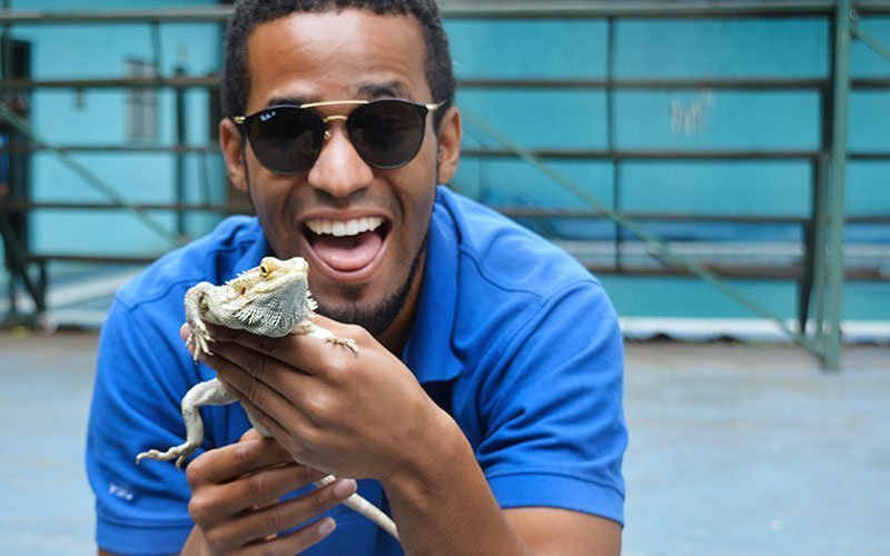 volunteer-abroad-exotic-animal-rescue-program Volunteer with Exotic Animals Abroad
