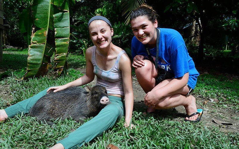 volunteer-abroad-jungle-conservation-program Volunteer in Amazon Reforestation