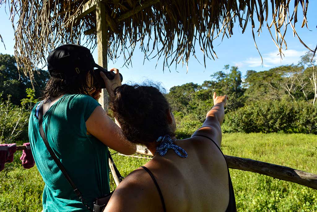 Volunteer-in-Amazon-Conservation-Project